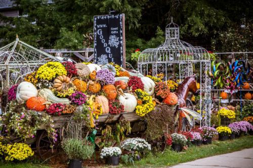 Get Festive This Fall in Cedar Rapids