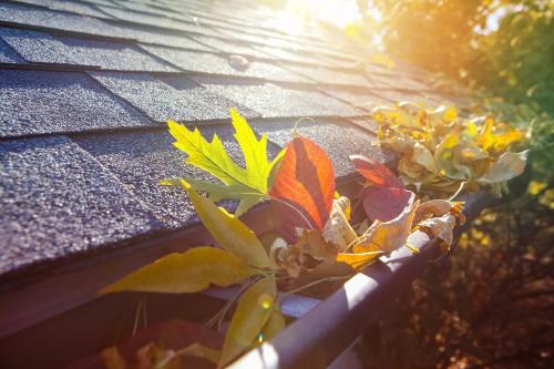 Fall Home Maintenance Tips